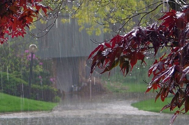 بارش باران تابستانی در تهران و ۱۶ استان دیگر