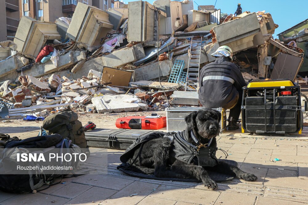 تصاویر: ادامه امداد رسانی‌ها درمناطق زلزله زده ترکیه