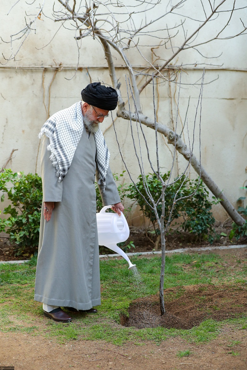 غرس نهال توسط رهبر انقلاب به مناسبت روز درختکاری + تصاویر