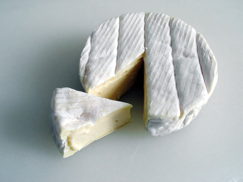 راهنمای خرید انواع پنیر | کدام پنیر خوشمزه‌تر است؟