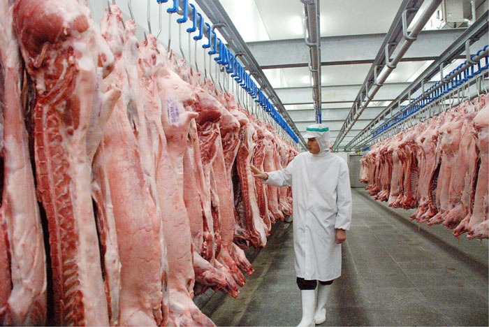 چالش ارزی واردات گوشت و نهاده‌های دامی