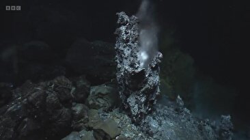 کشف صخره‌های دودزایی در کف اقیانوس که احتمالا ۴ میلیارد سال قبل حیات از آن‌جا آغاز شده‌است (فیلم)