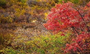 پاییز در بهشت هاور+تصاویر