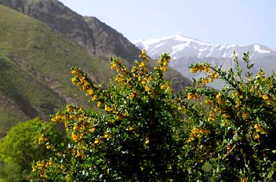 طبیعت زیبا و شگفت انگیز در روستای آب نیک + تصاویر