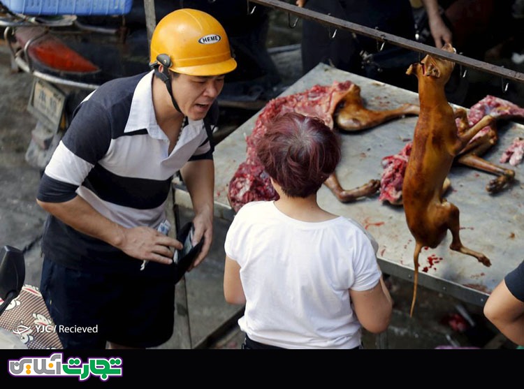 جشنواره گوشت سگ در چین!