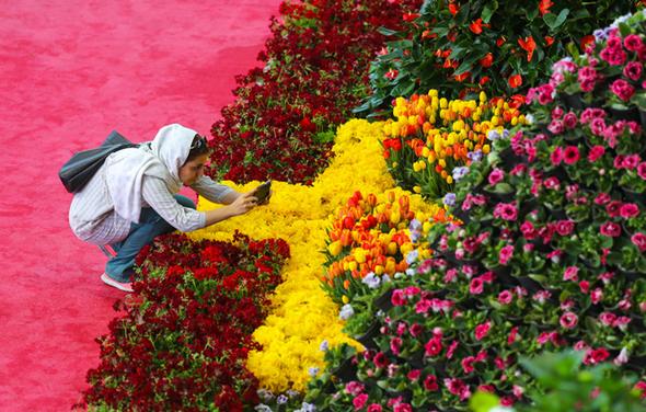 قاچاق و واردات رسمی صنعت گل ایران را خشک کرد