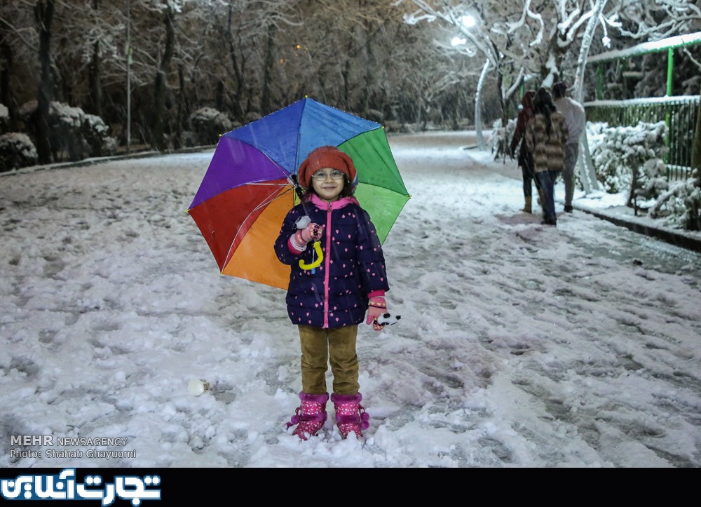 بارش برف تهران را سفیدپوش کرد + عکس ها