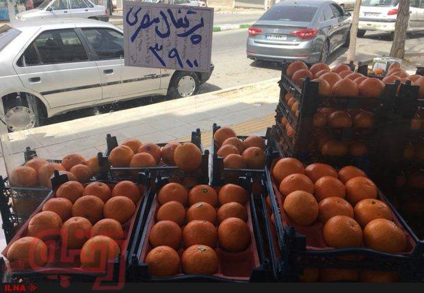 تغییر نام پرتقال ایرانی به پرتقال مصری برای گران‌فروشی