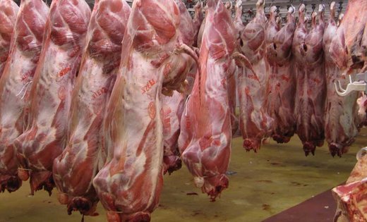 گوشت وارداتی ۴۰ هزار تومانی را ۱۲۰ هزار تومان می‌فروشند؟!