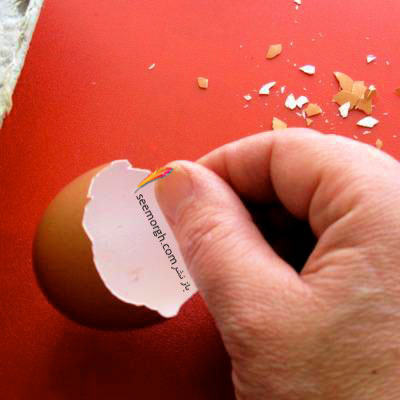 مرحله دوم درست کردن سبزه عید در تخم مرغ : شکل دادن به لبه پوسته