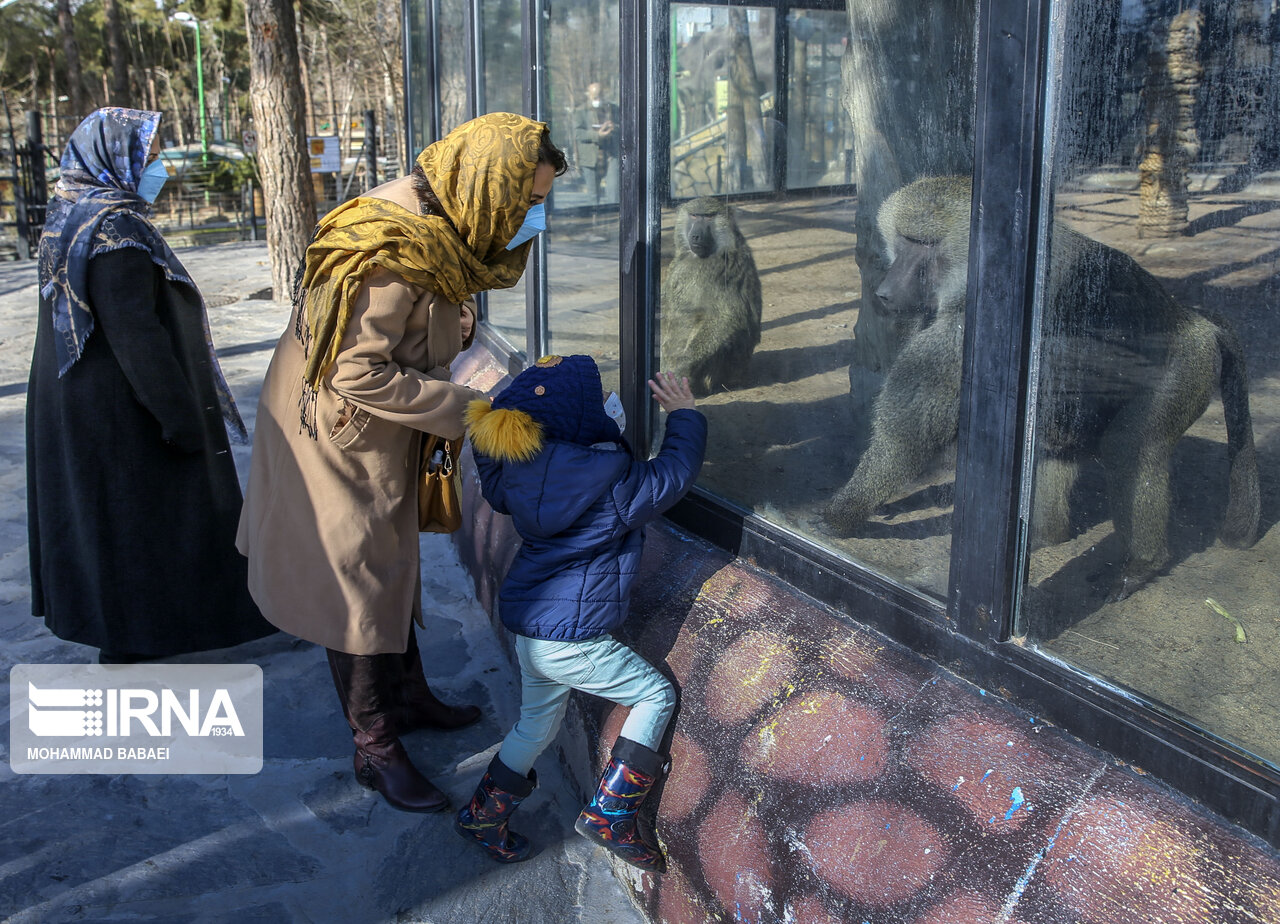 تصاویر: بازگشایی باغ وحش ارم تهران
