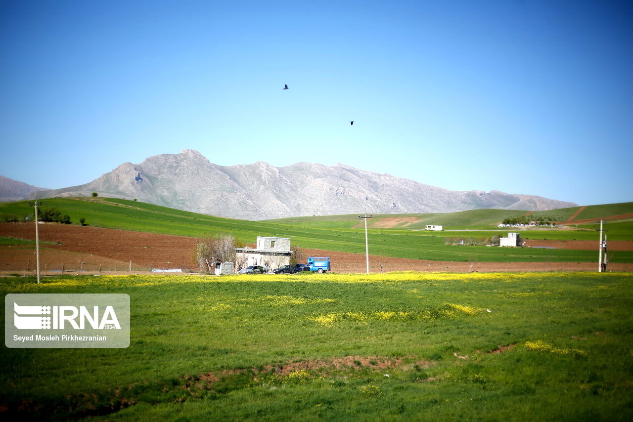 تصاویر: بهار طبیعت در دامنه کوه شاهو‎ (کردستان)