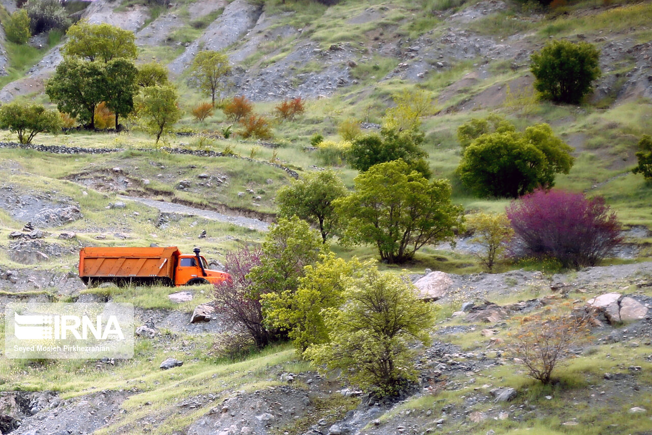 تصاویر: بهار طبیعت در دامنه کوه شاهو‎ (کردستان)