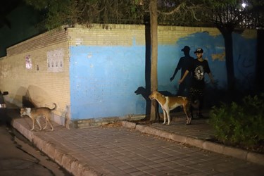 عکس -  عدم فاصله اجتماعی   در  شرق بندرعباس 