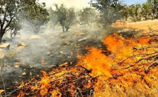 شعله ور شدن مجدد آتش در ارتفاعات سیمان پاوه
