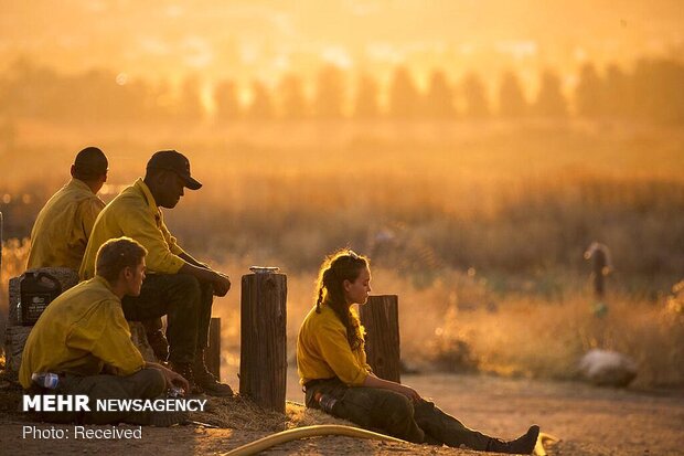 شدت گرفتن آتش سوزی جنگلهای کالیفرنیا
