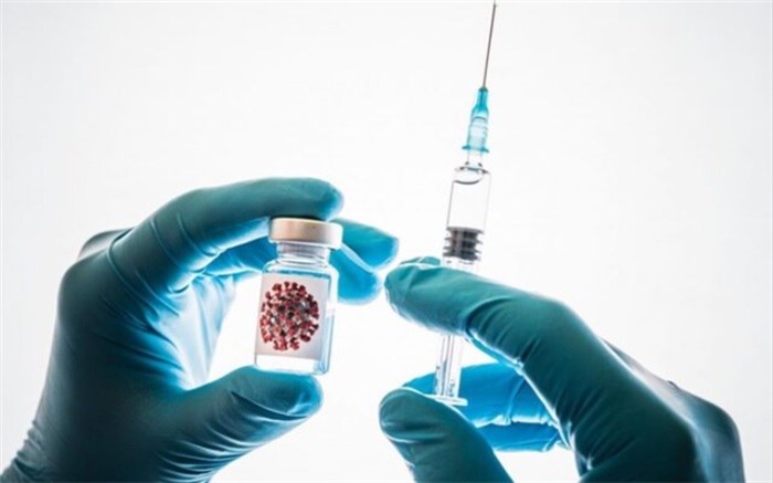 سلاخی کوسه‌ها برای ساختن واکسن کرونا