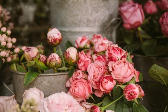 هر شاخه گل برای روز مادر چند؟ هر شاخه گل برای روز مادر چند؟