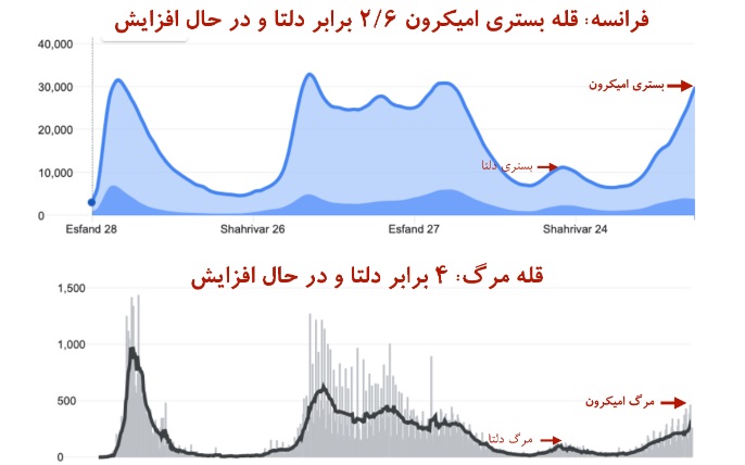 این جدول‌ها را ببینید: مرگ‌ در اثر امیکرون بیشتر از مرگ به خاطر دلتا