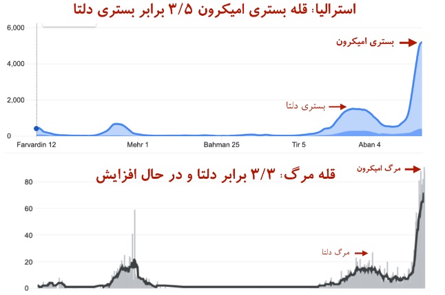 این جدول‌ها را ببینید: مرگ‌ در اثر امیکرون بیشتر از مرگ به خاطر دلتا