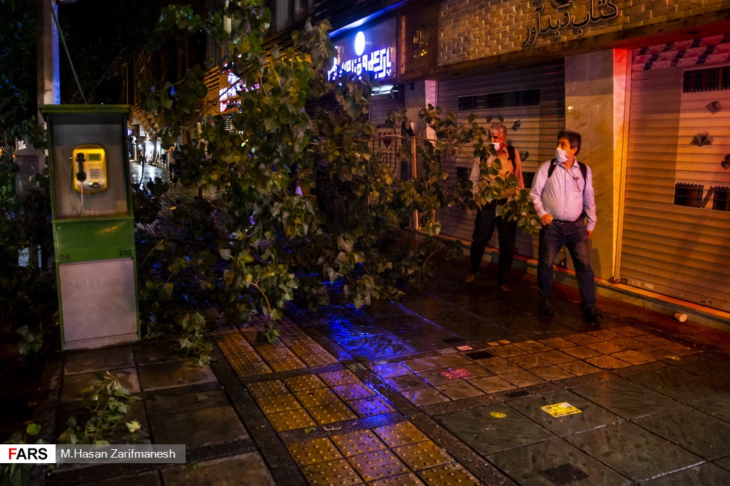 شکسته شدن و افتادن برخی شاخه های درختان پس از وقوع باد و باران شدید در پایتخت که مانع عبور و مرور رهگذران شده است - خیابان انقلاب