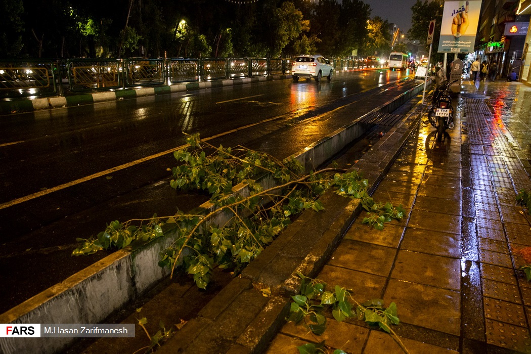 شکسته شدن و افتادن برخی شاخه های درختان پس از وقوع باد و باران شدید در پایتخت - خیابان انقلاب