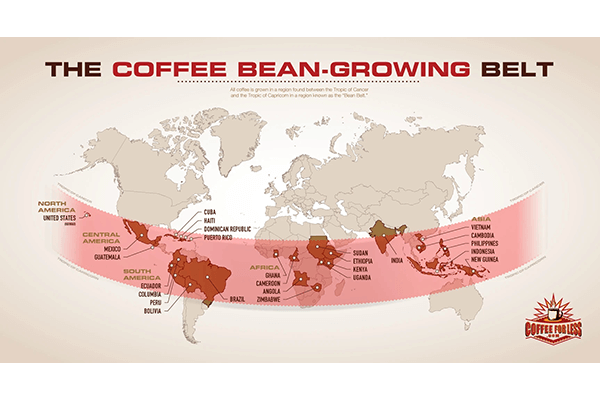 چه قهوه‌ای بخریم؟ چه‌طور قهوه‌ی خوب را تشخیص دهیم؟