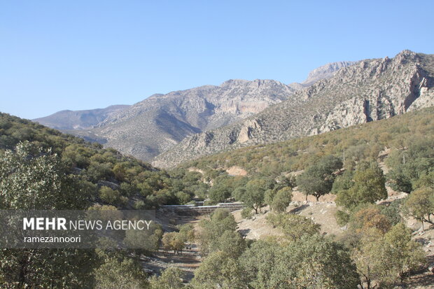 طبیعت دره«ارغوان» ایلام