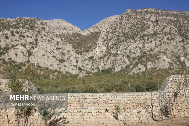 طبیعت دره«ارغوان» ایلام