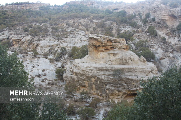 طبیعت دره«ارغوان» ایلام