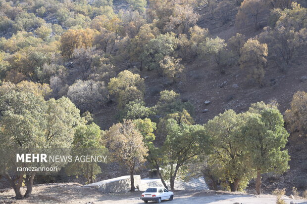 طبیعت دره«ارغوان» ایلام