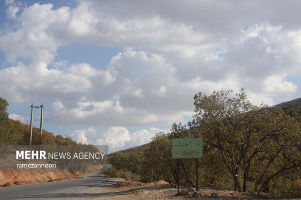 طبیعت دره«ارغوان» ایلام