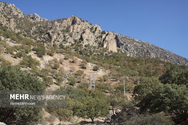 طبیعت دره«ارغوان» ایلام