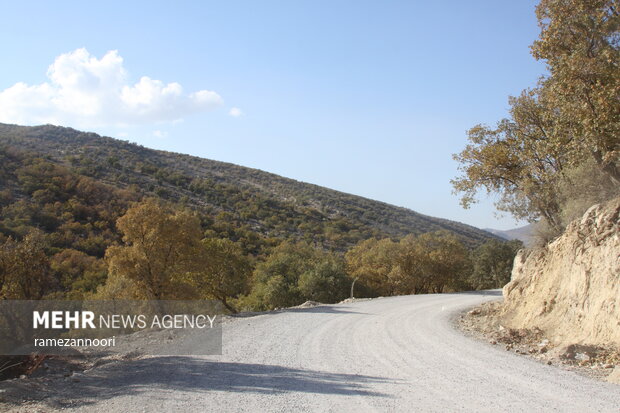 طبیعت دره«ارغوان» ایلام