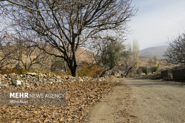 طبیعت زیبای پاییزیی روستاهای تسوج