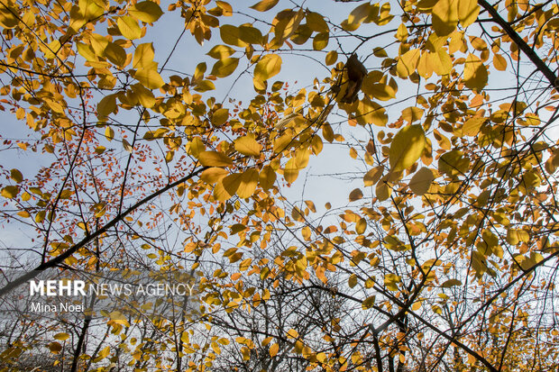 طبیعت زیبای پاییزیی روستاهای تسوج