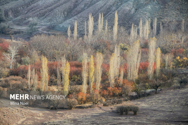 طبیعت زیبای پاییزیی روستاهای تسوج