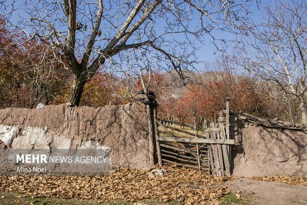 طبیعت زیبای پاییزیی روستاهای تسوج