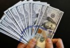 فرش قرمز زیر پای دلالان ارز