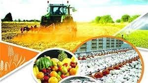 بازار سرمایه، ابزاری مناسب برای افزایش سرمایه‌گذاری در بخش کشاورزی