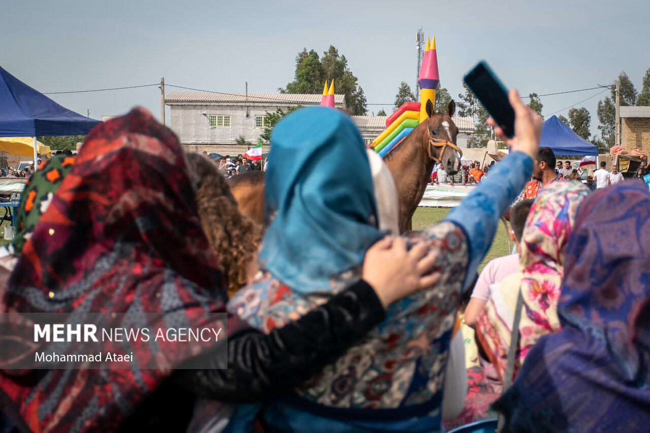 تصاویر: شانزدهمین جشنواره ملی «اسب اصیل ترکمن» در گلستان