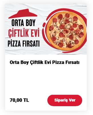 قیمت-پیتزا-ترکیه-۱