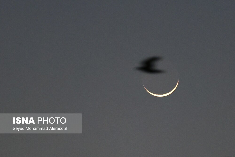 استهلال ماه مبارک رمضان + تصاویر