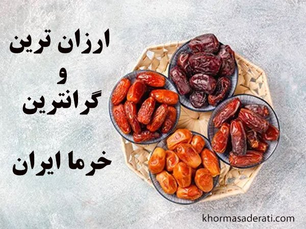 ارزانترین و گرانترین خرمای ایران