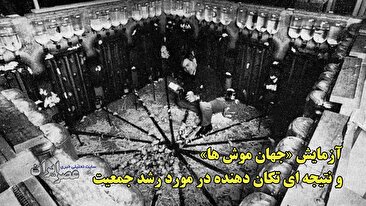 آزمایش «جهان موش‌ها» و نتیجه‌ای تکان دهنده در مورد رشد جمعیت / هشدار جدی به انسان (فیلم)