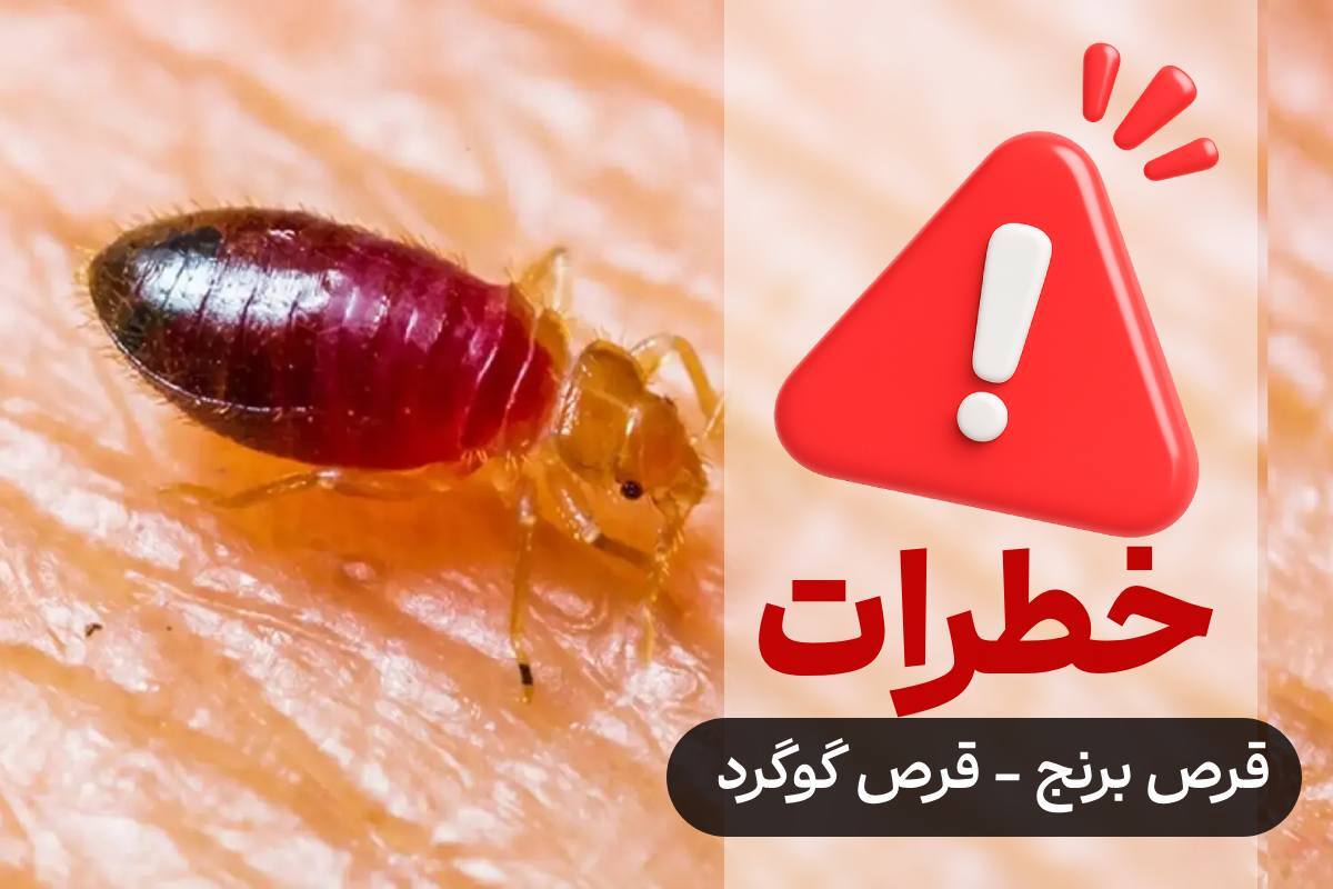 قرص برای از بین بردن ساس
