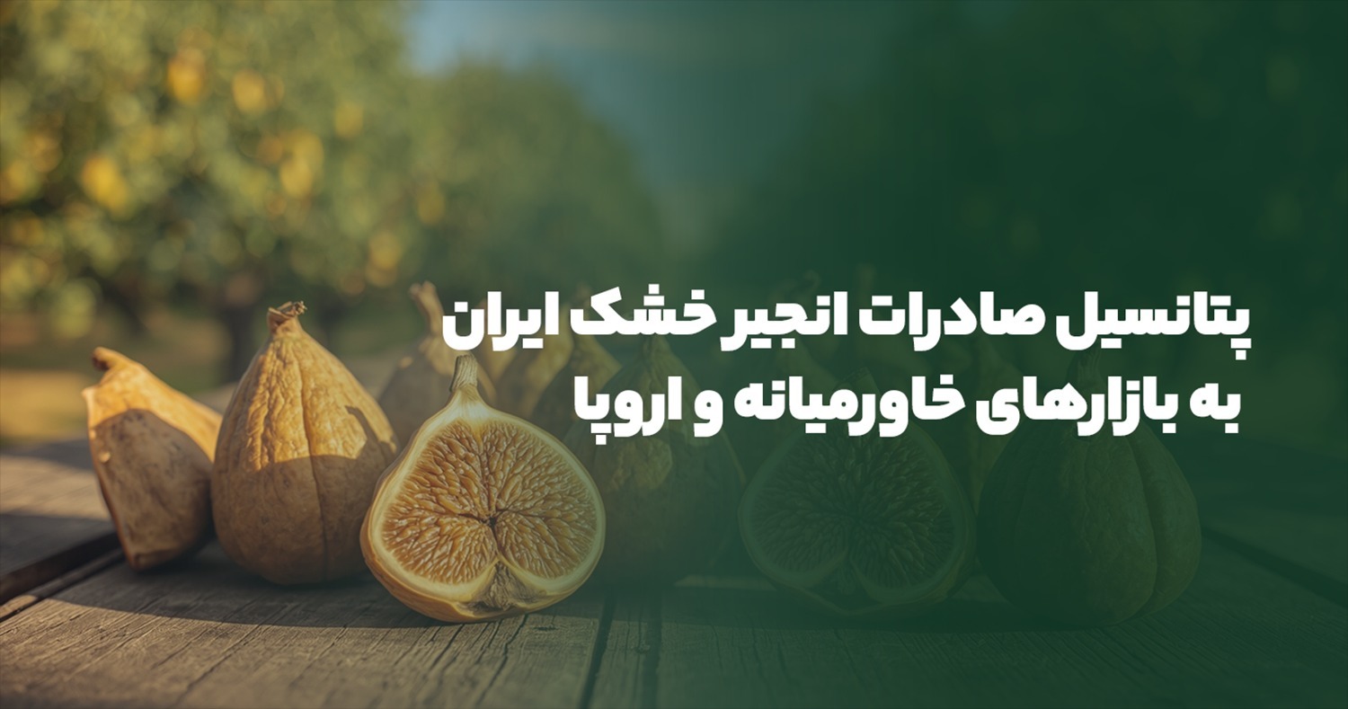 پتانسیل صادرات انجیر خشک ایران به بازارهای خاورمیانه و اروپا: فرصت های استراتژیک برای تجارت جهانی پتانسیل صادرات انجیر خشک ایران به بازارهای خاورمیانه و اروپا: فرصت های استراتژیک برای تجارت جهانی